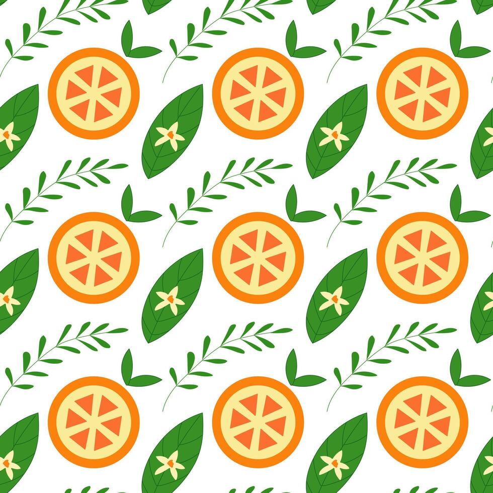 Orange seamless pattern. Summer pattern vector
