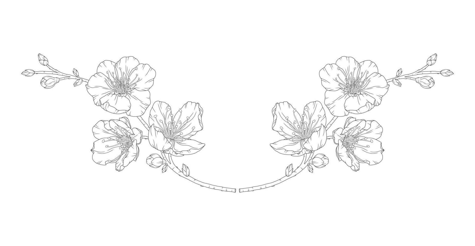 Beautiful vignette of apricot blossoms in a graceful thin line. Japanese sakura blooming flowers frame, outline. Hand drawn sketch of cherry, plum, or peach blossom branch vector