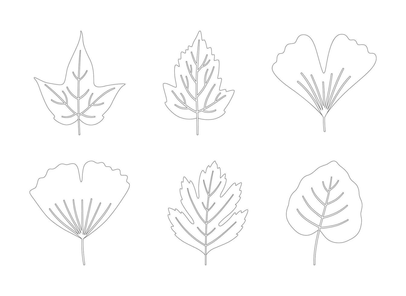 Set of autumn leaves maple, ginkgo biloba, aspen, and hawthorn. Black silhouettes in line art style on a white background. Fall, spring, or summer collection contour foliage, illustration vector
