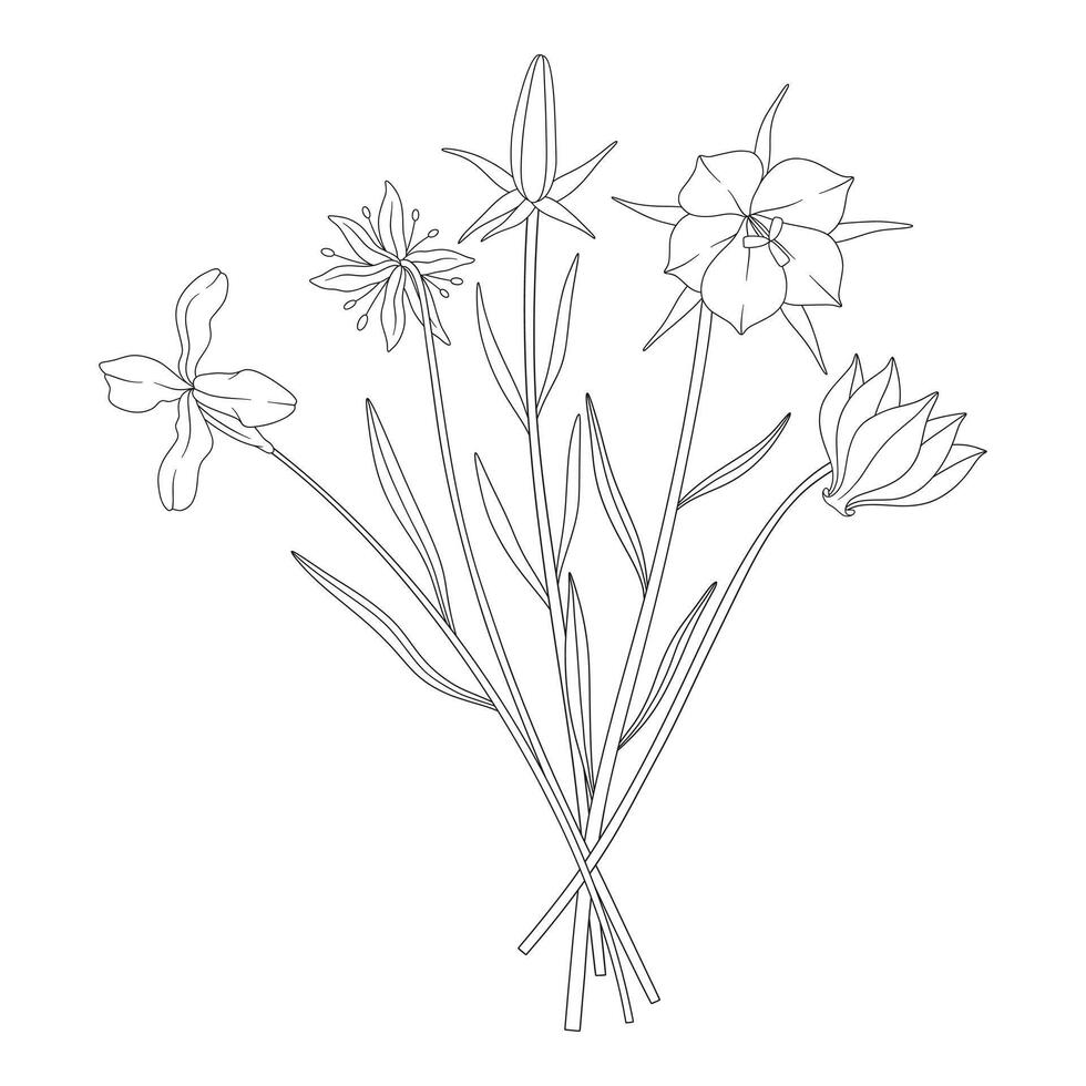 Wildflower bouquet with snowdrop, cyclamen, different meadow flowers, and blooming wild plants. Line art, minimal style, contour. Botanical hand drawn elements for design projects vector