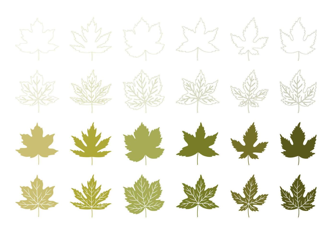 Set of spring or summer maple leaves. Green leaf collection on a white background. Foliage in outline, line art style, textured silhouettes. vector