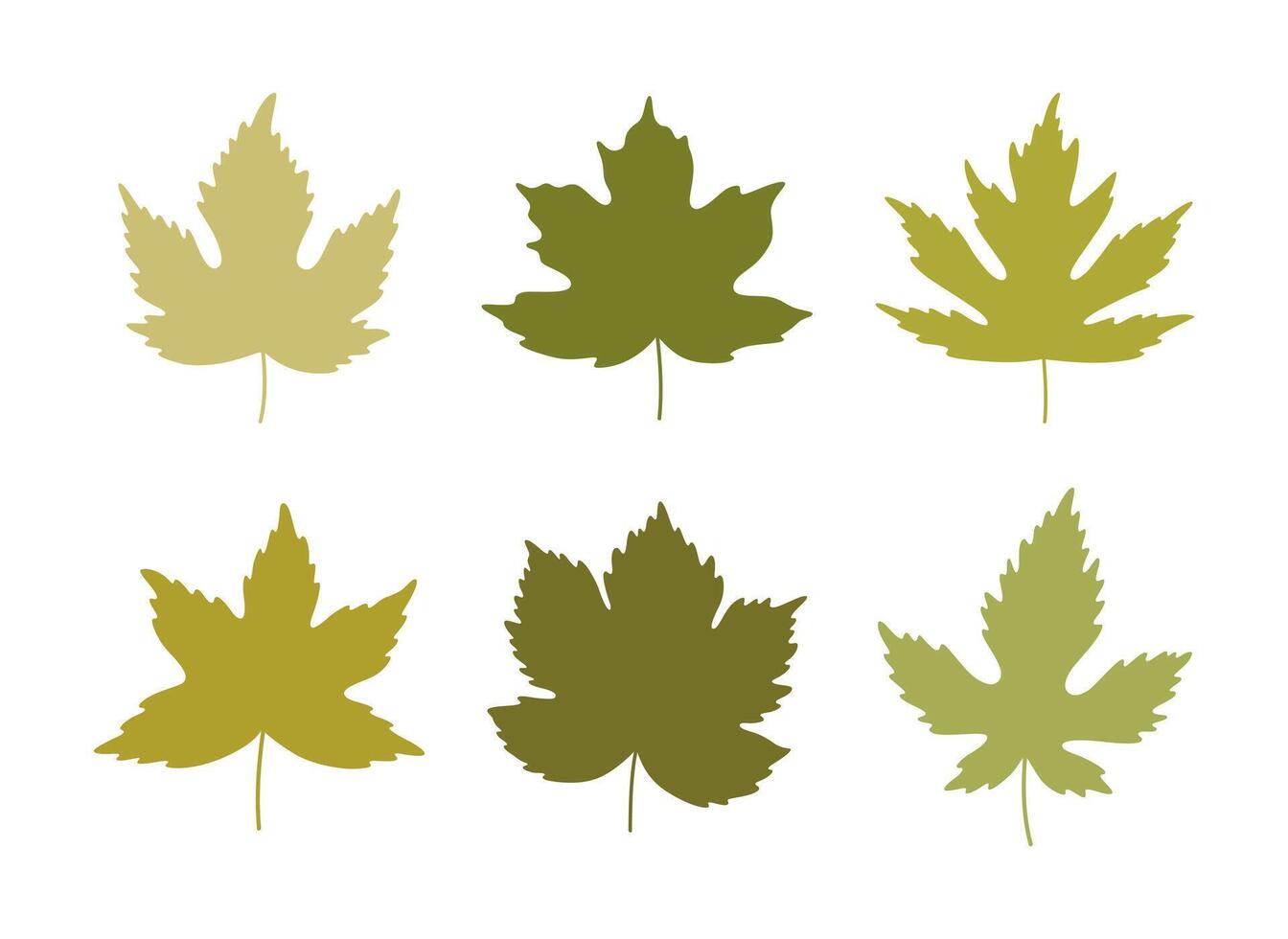 Set of silhouette spring maple leaves in green colors. Summer background, leaf icons, illustration vector