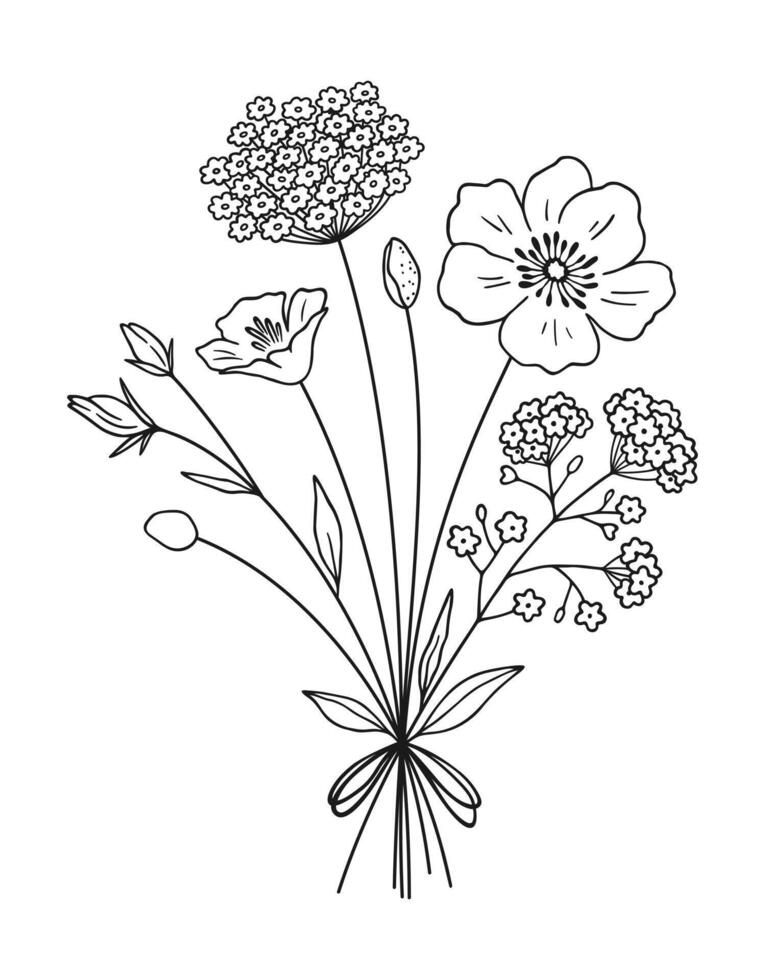 Wildflower line art bouquet. Hand drawn flowers, meadow herbs, wild plants, and botanical elements for design projects, illustration vector