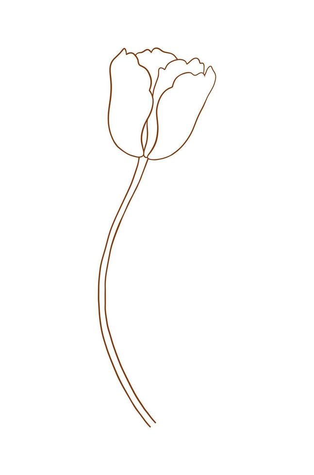 Tulip in brown outline. Beautiful sketch flower, spring decor. Drawing element of minimal style for Easter, Mother Day, Canadian Tulip Festival, illustration vector