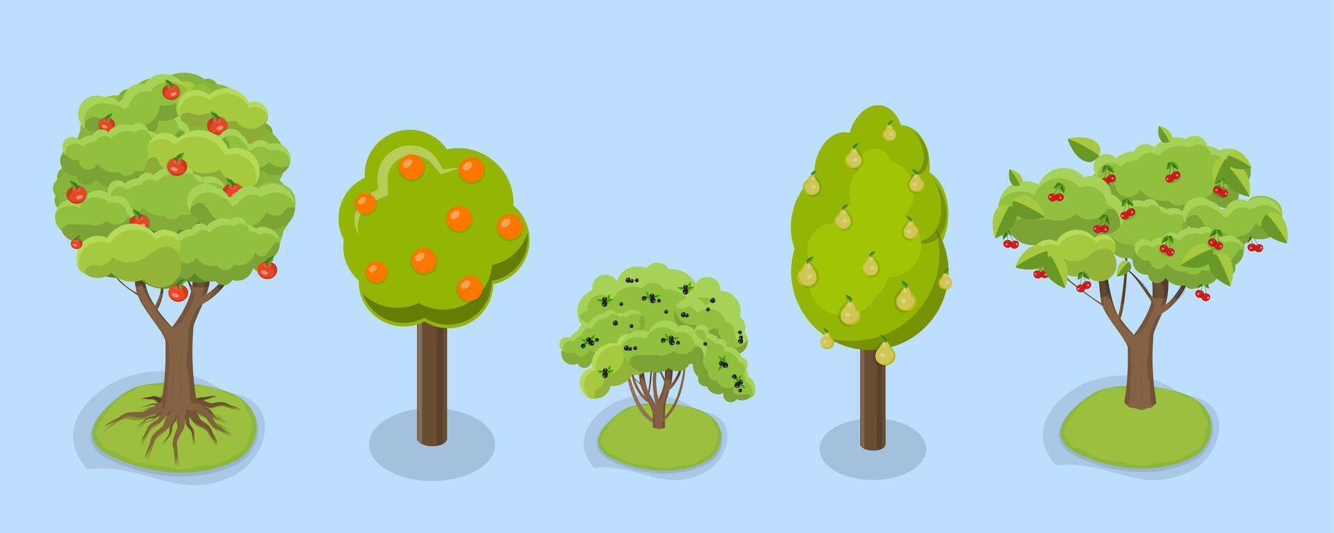 3D Isometric Flat Set of Fruit Tree, Garden Plants Cultivation vector