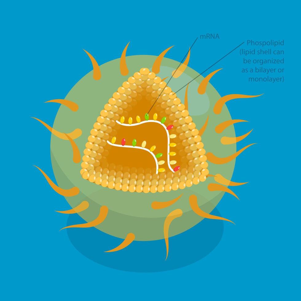3D Isometric Flat Illustration of RNA Vaccine, Drug for Produce an Immune Response vector