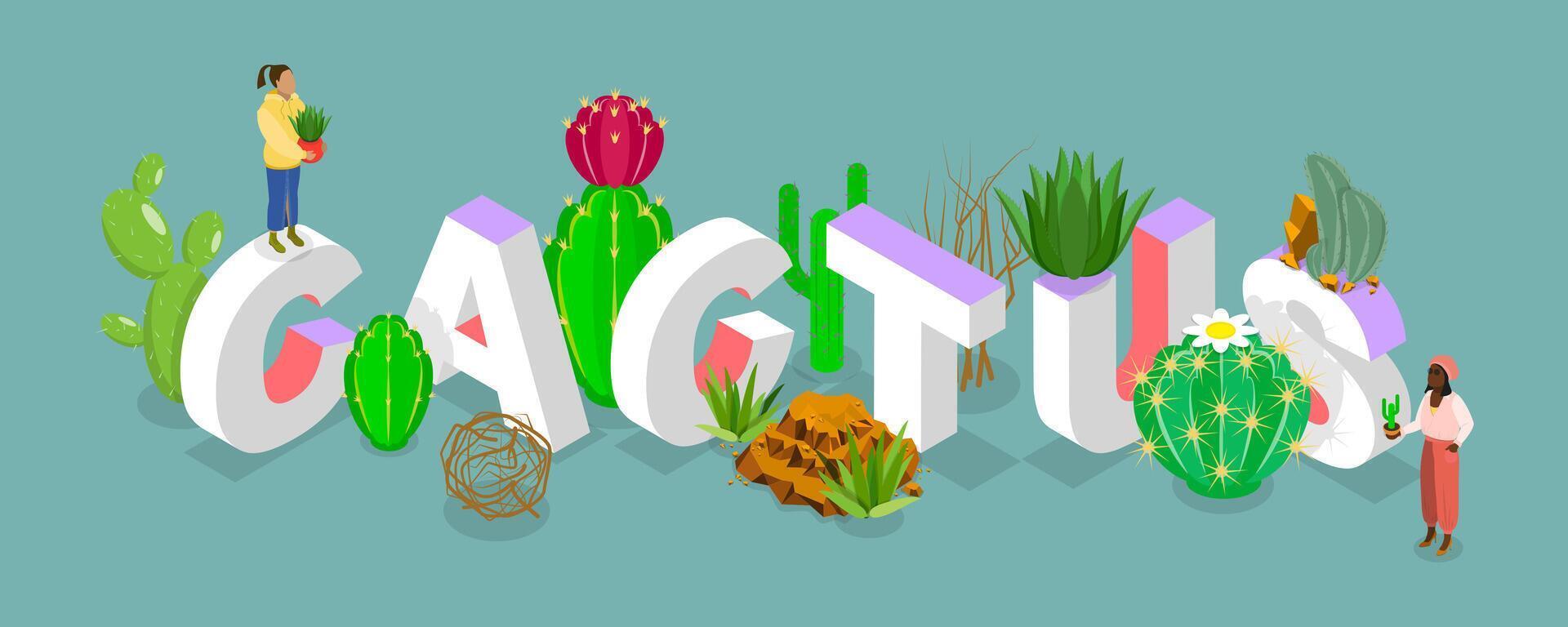 3D Isometric Flat Illustration of Cactus Word Composition, Desert Plants vector