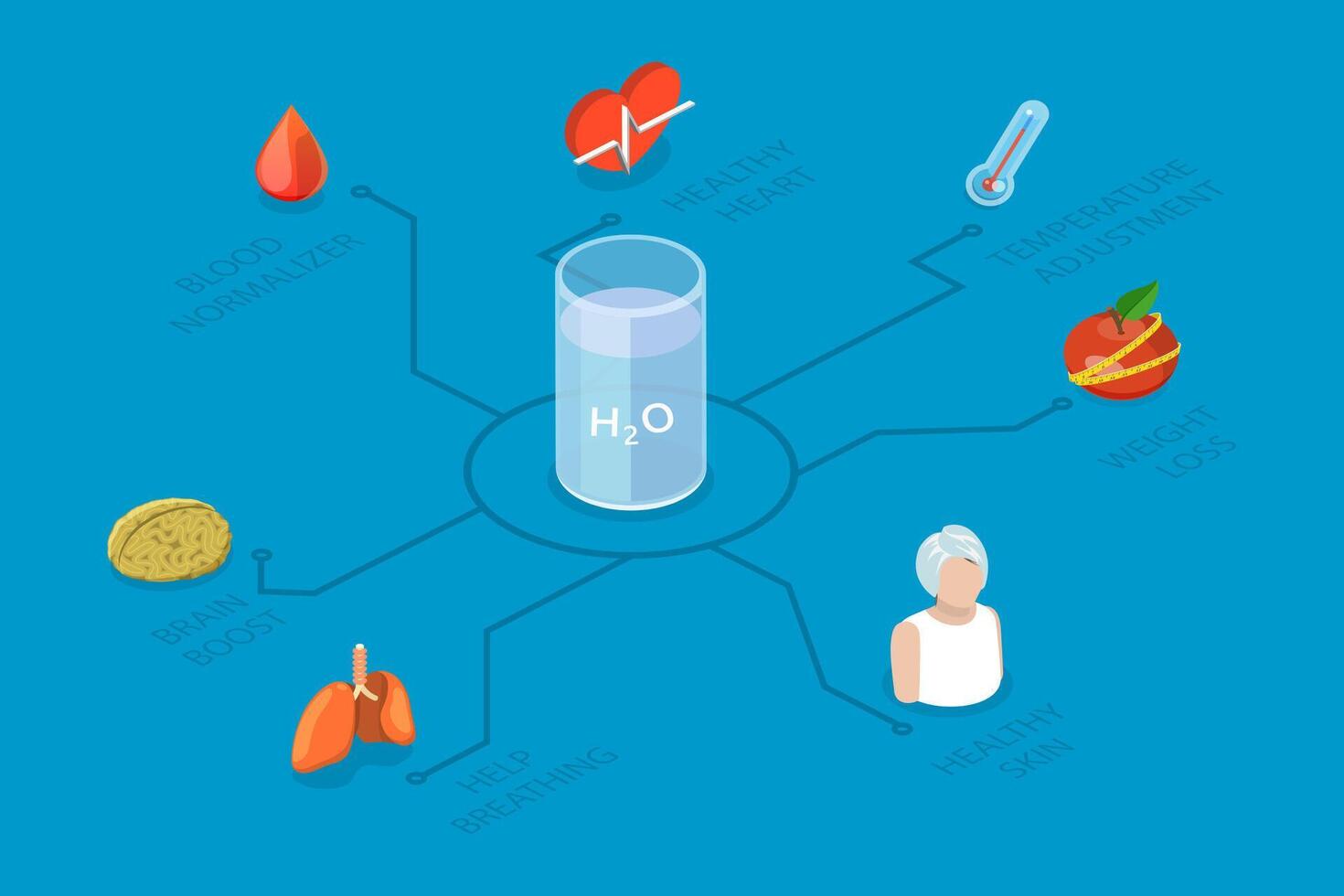 3D Isometric Flat Illustration of Benefit Of Water, Drink More for Health Care and Body Balance vector