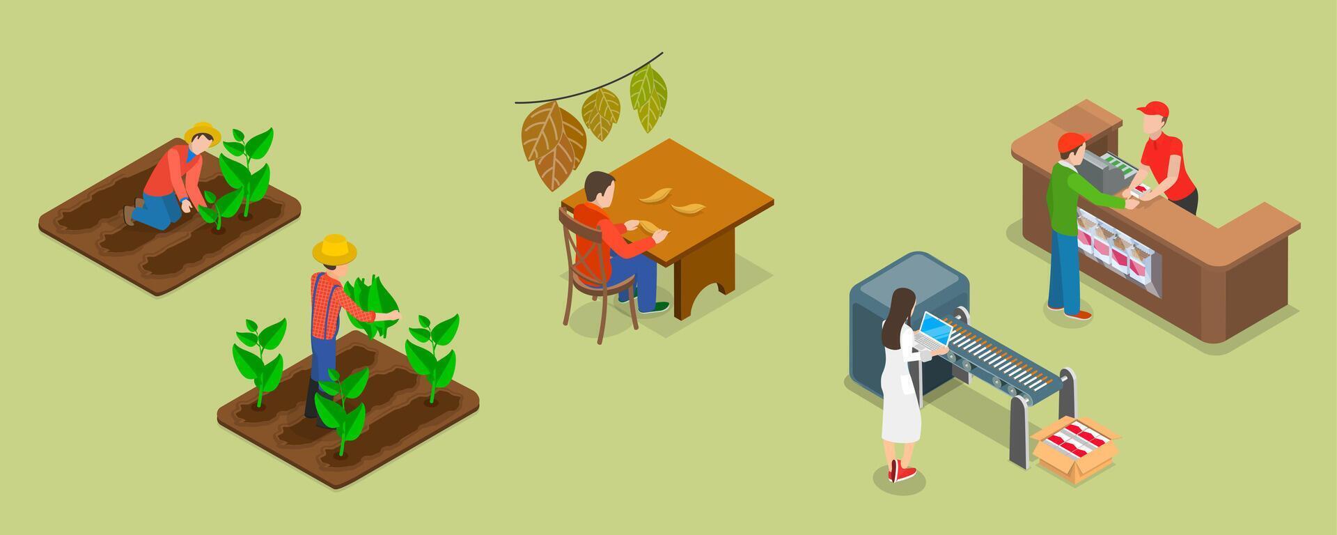 3D Isometric Flat Illustration of Tobacco Industry, Cigarette Production vector