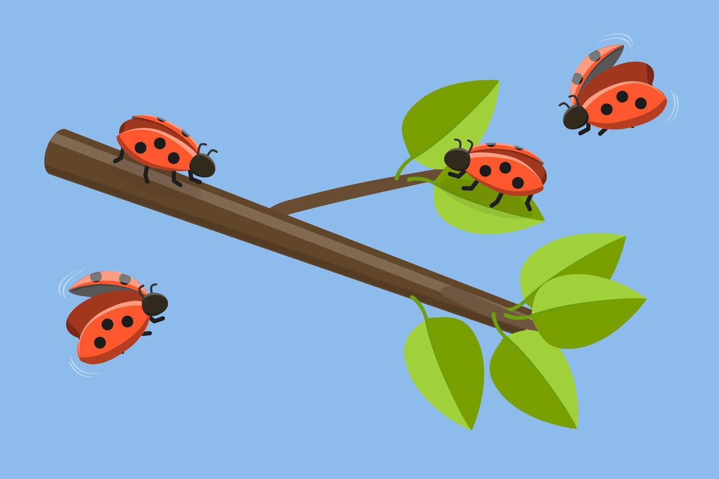 3D Isometric Flat Illustration of Ladybugs, Cute Funny Insects vector