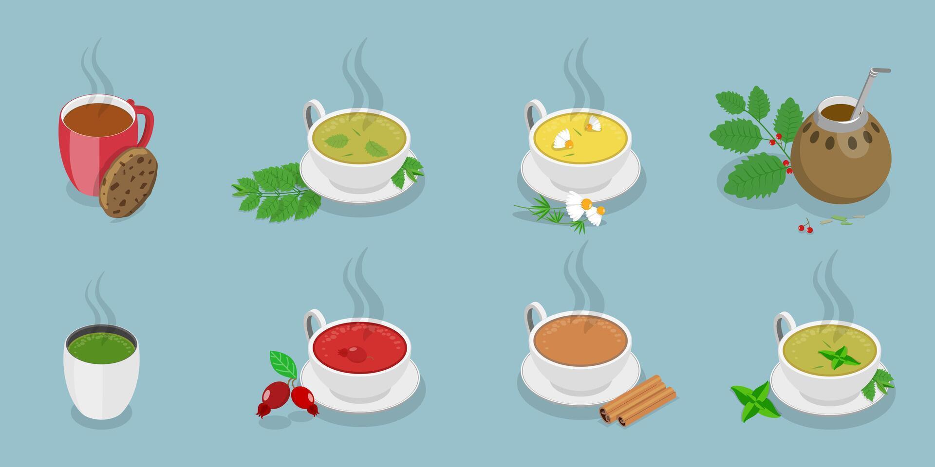 3D Isometric Flat Set of Tea Types, Beverages With Herbal Ingredients vector