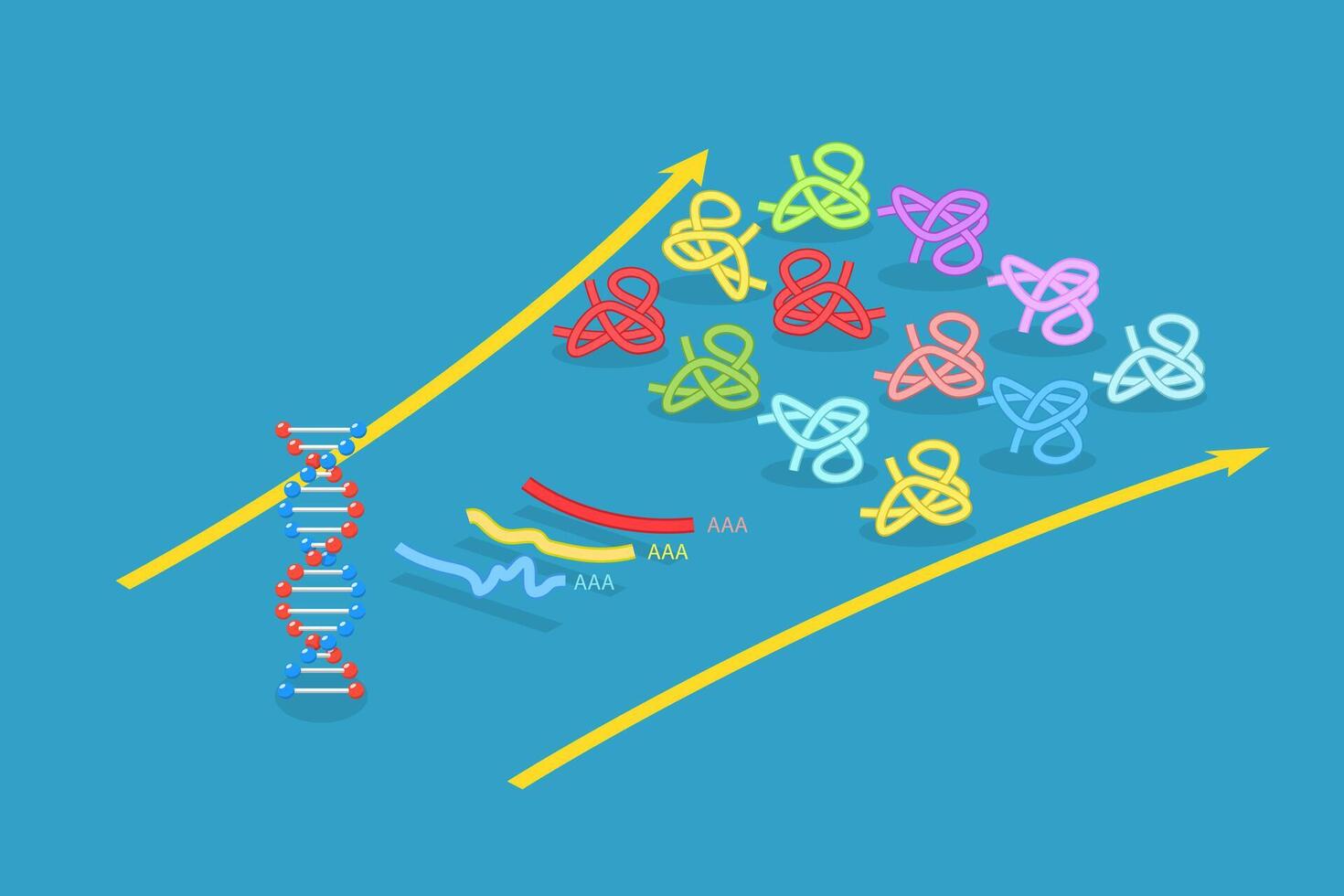 3D Isometric Flat Illustration of Proteome Complexity, Proteins Studying vector