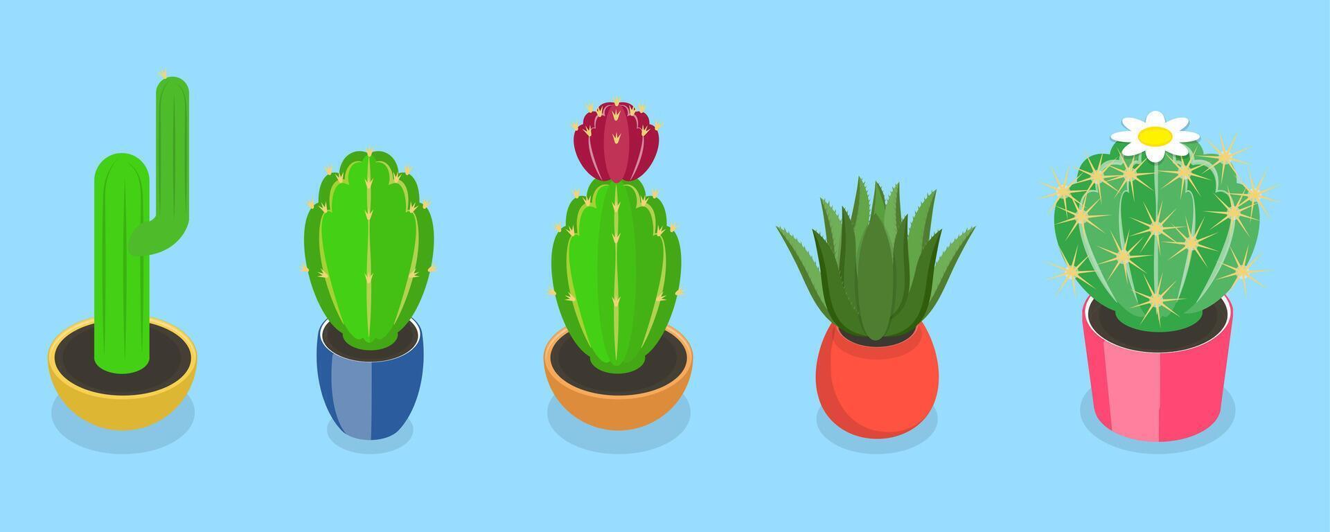 3D Isometric Flat Set of Cactuses, Collection of Houseplants in Flower Pots vector