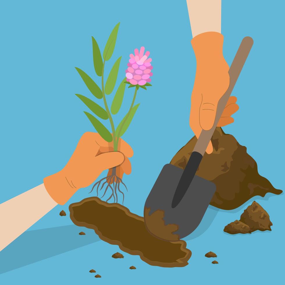 3D Isometric Flat Illustration of Gardening And Agriculture, Reforestation Program vector
