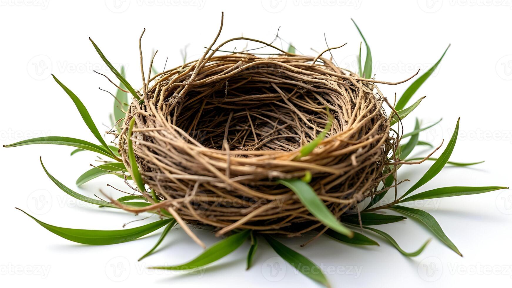 Empty Bird Nest Made of Twigs and Leaves photo