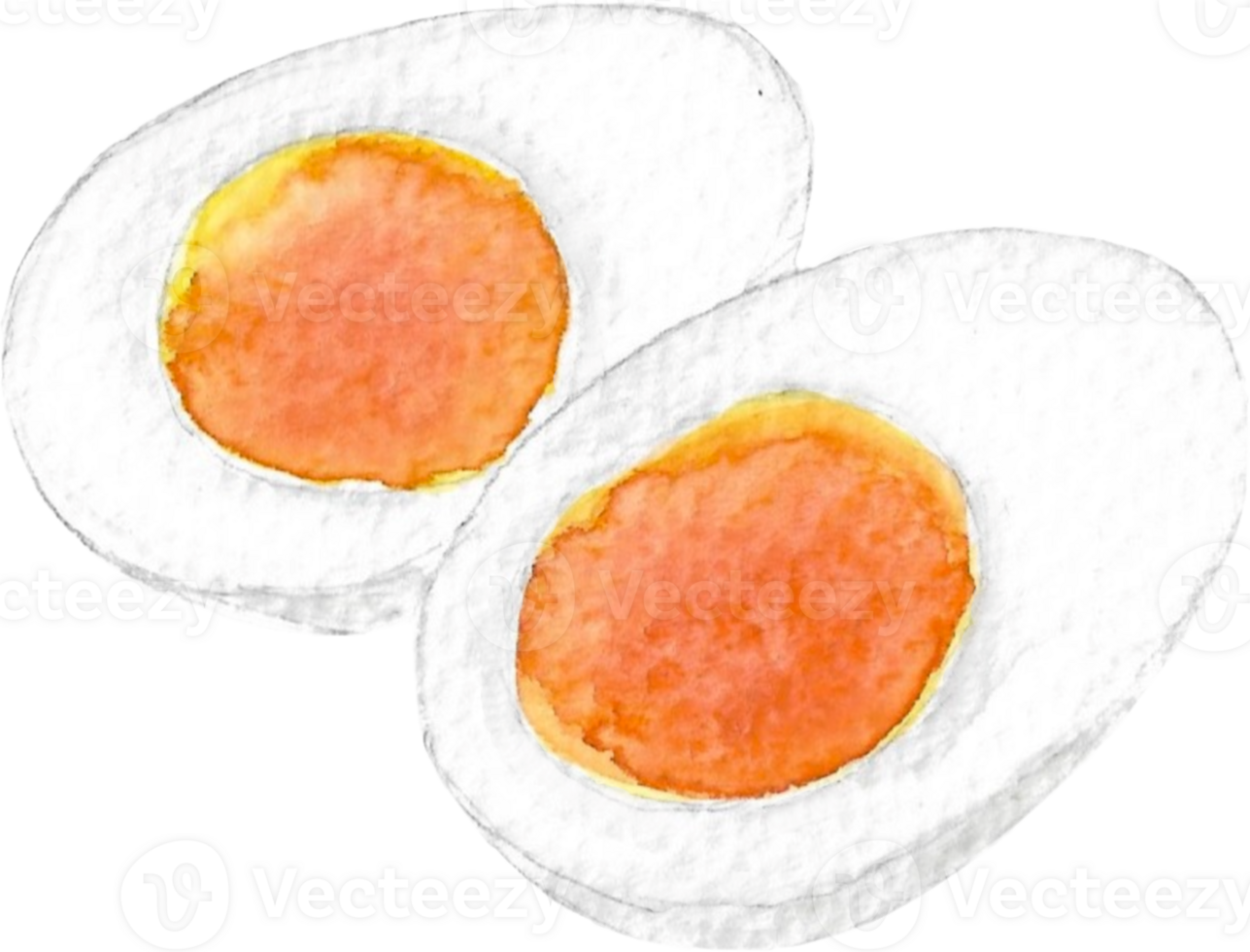 Boiled Egg that is drawn and painted by hand in watercolor fine art style png