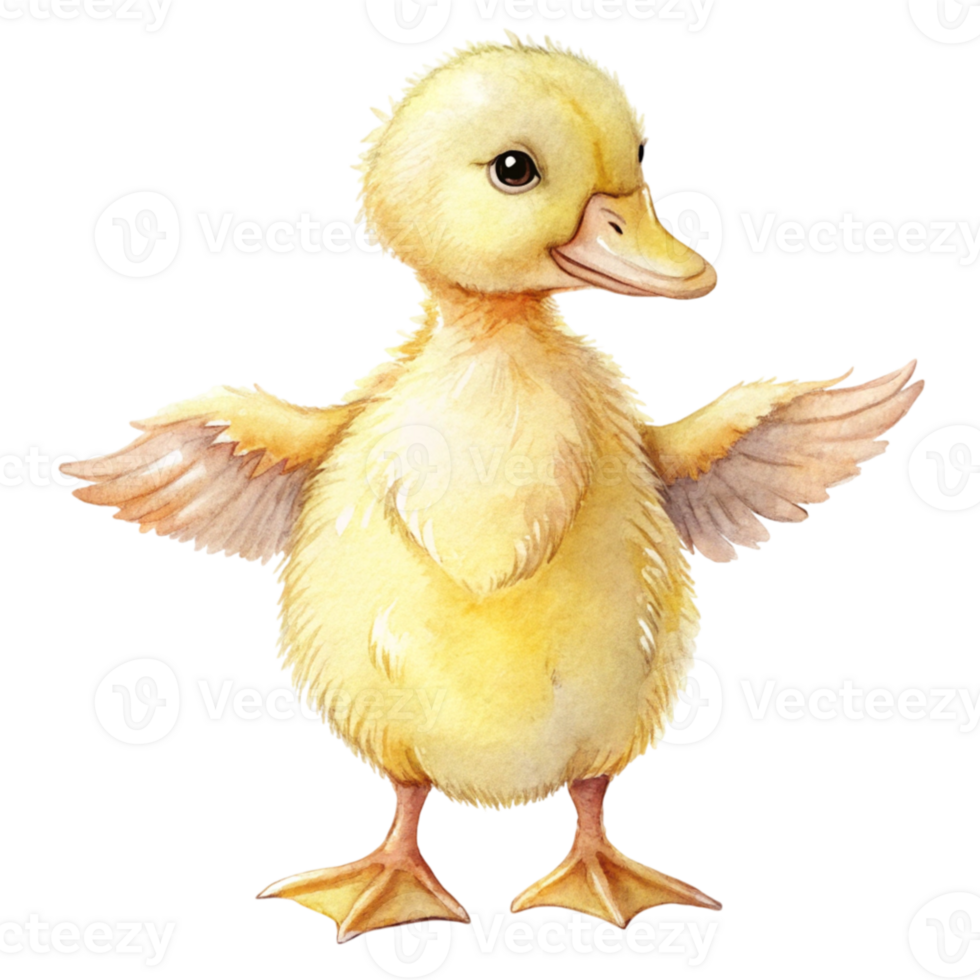 A watercolor illustration of a duck png