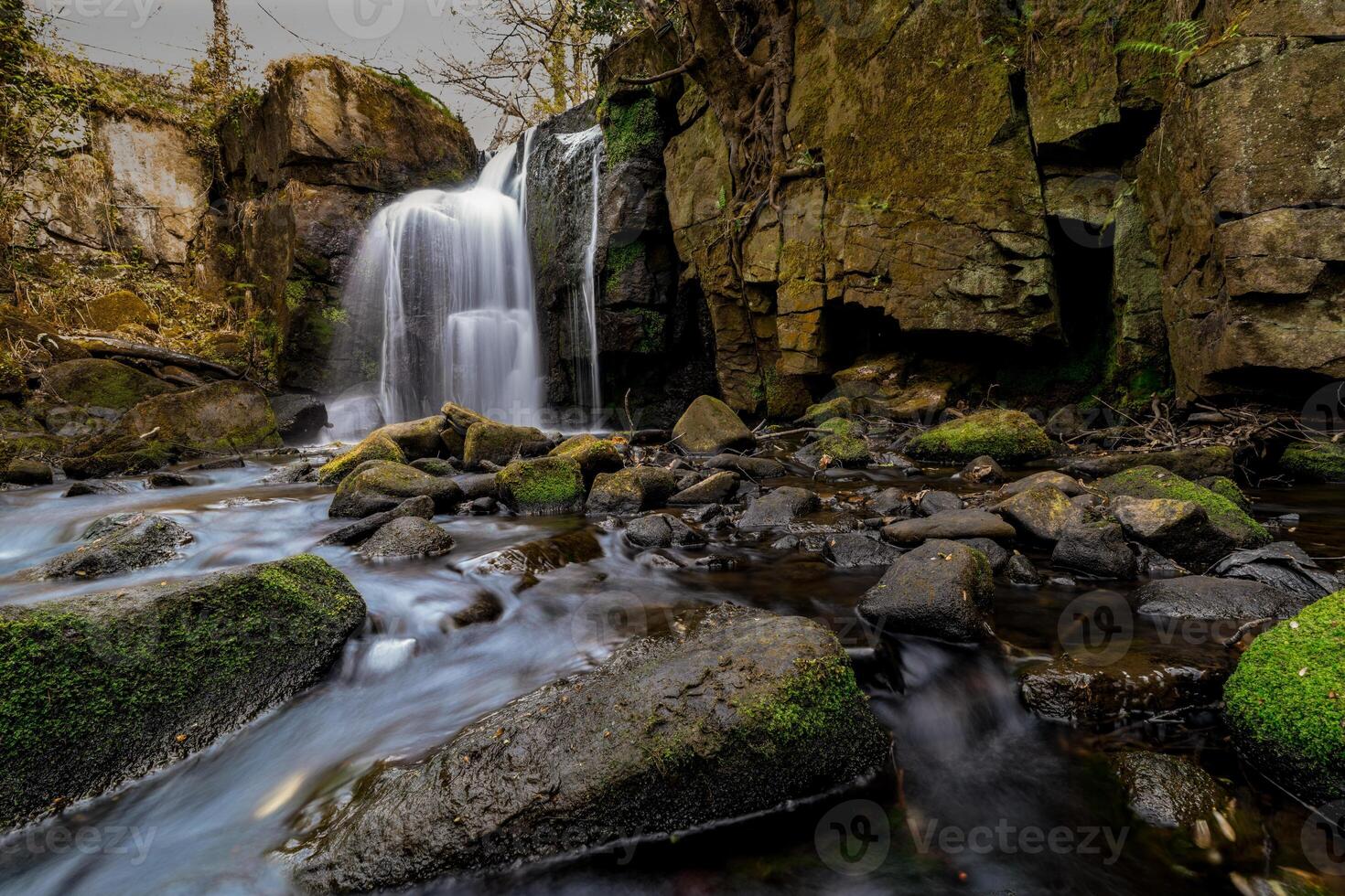 Waterfall cascading over mossy rocks in a peaceful forest photo