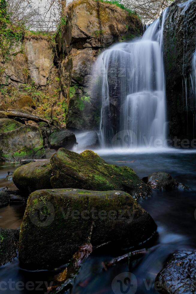 Waterfall cascading over mossy rocks in lush forest photo