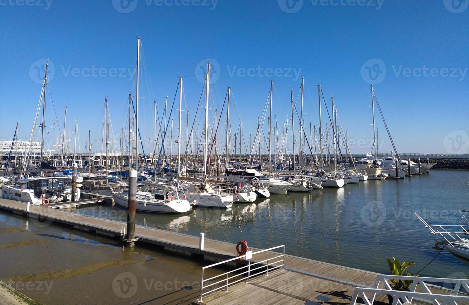 Stunning marina scene on a sunny day. Numerous yachts and sailboats are docked, creating a picturesque waterfront view perfect for travel, leisure, and nauticalthemed projects. photo