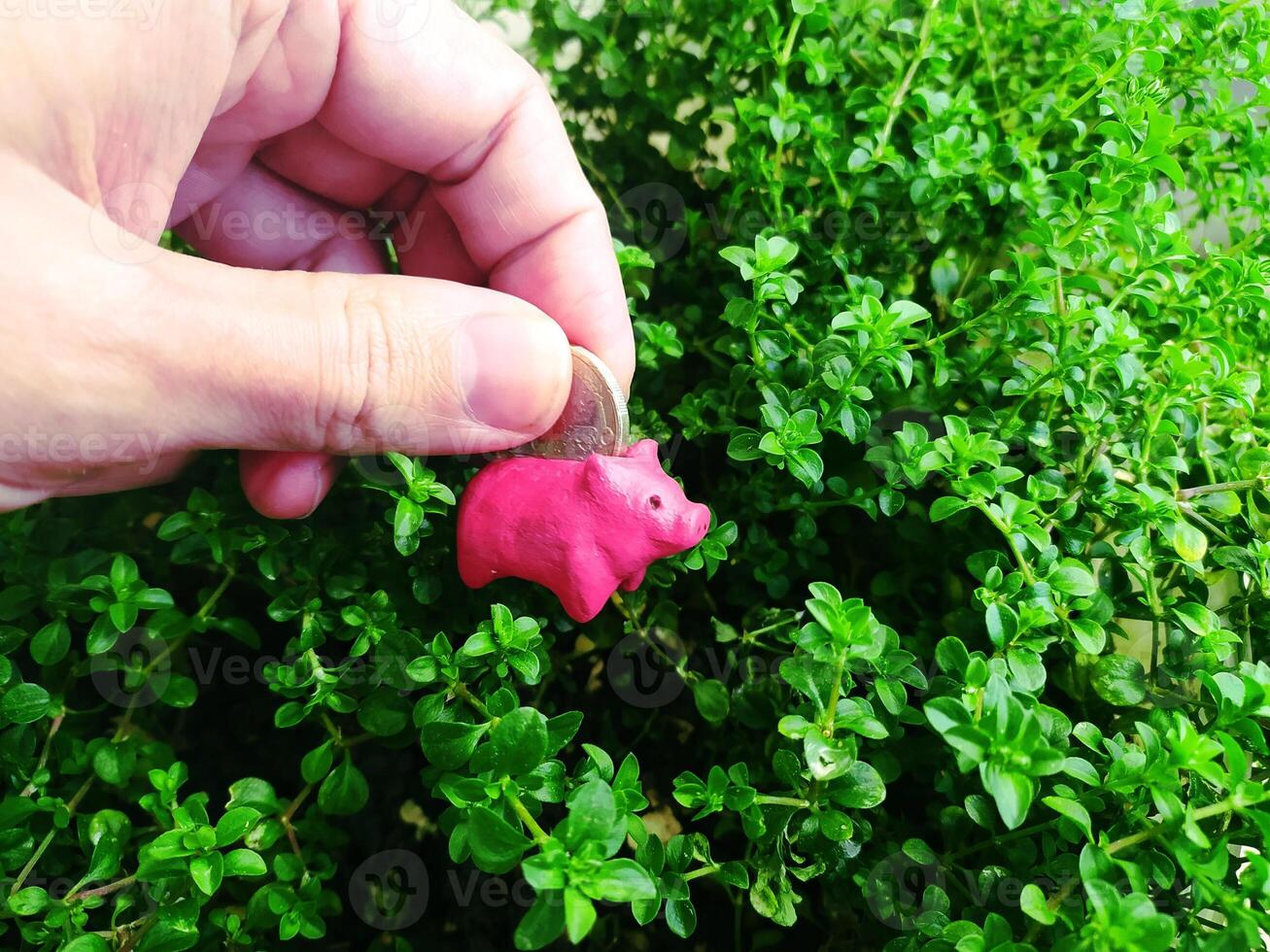 Saving with a tiny pink pig against a green plant background. Concept for investment, finance, growth, and small beginnings. Personal finance or business use. photo