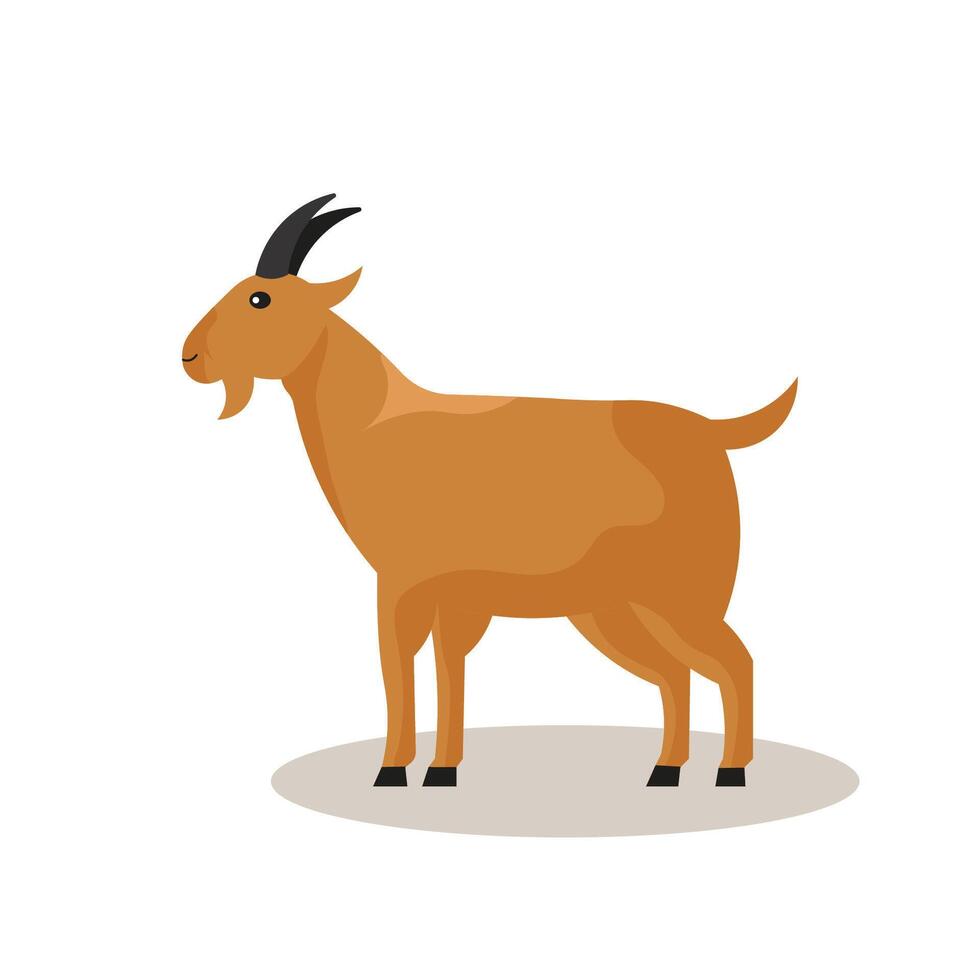 Goat illustration Eid al Adha Sacrifice celebration festival vector