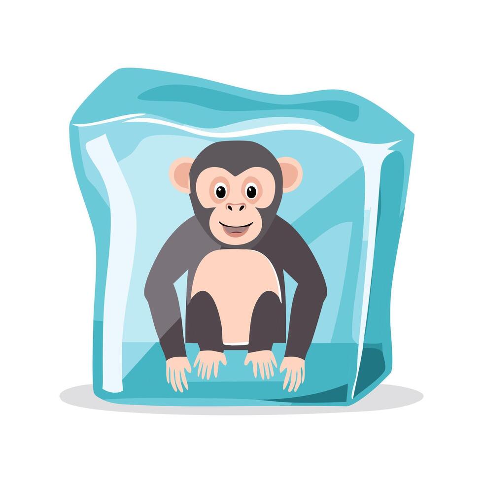 Chimpanzee in the ice cube vector