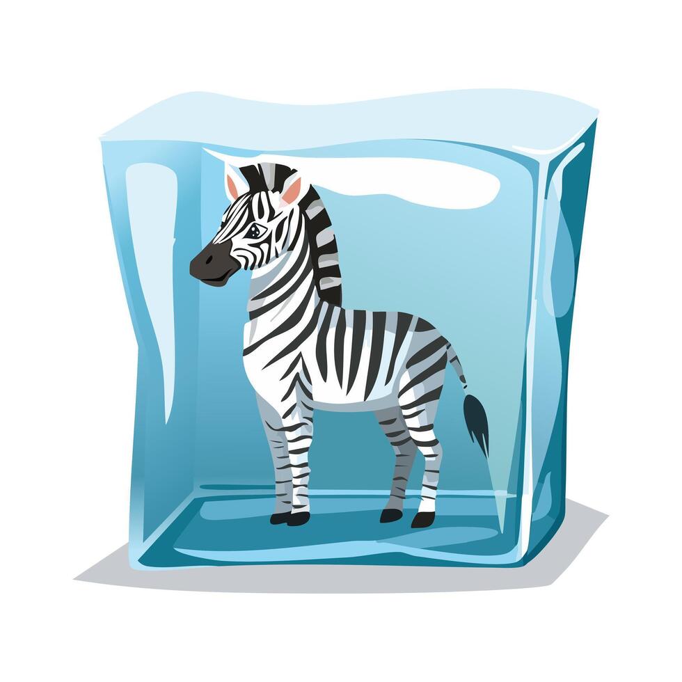 Zebra in the ice cube vector