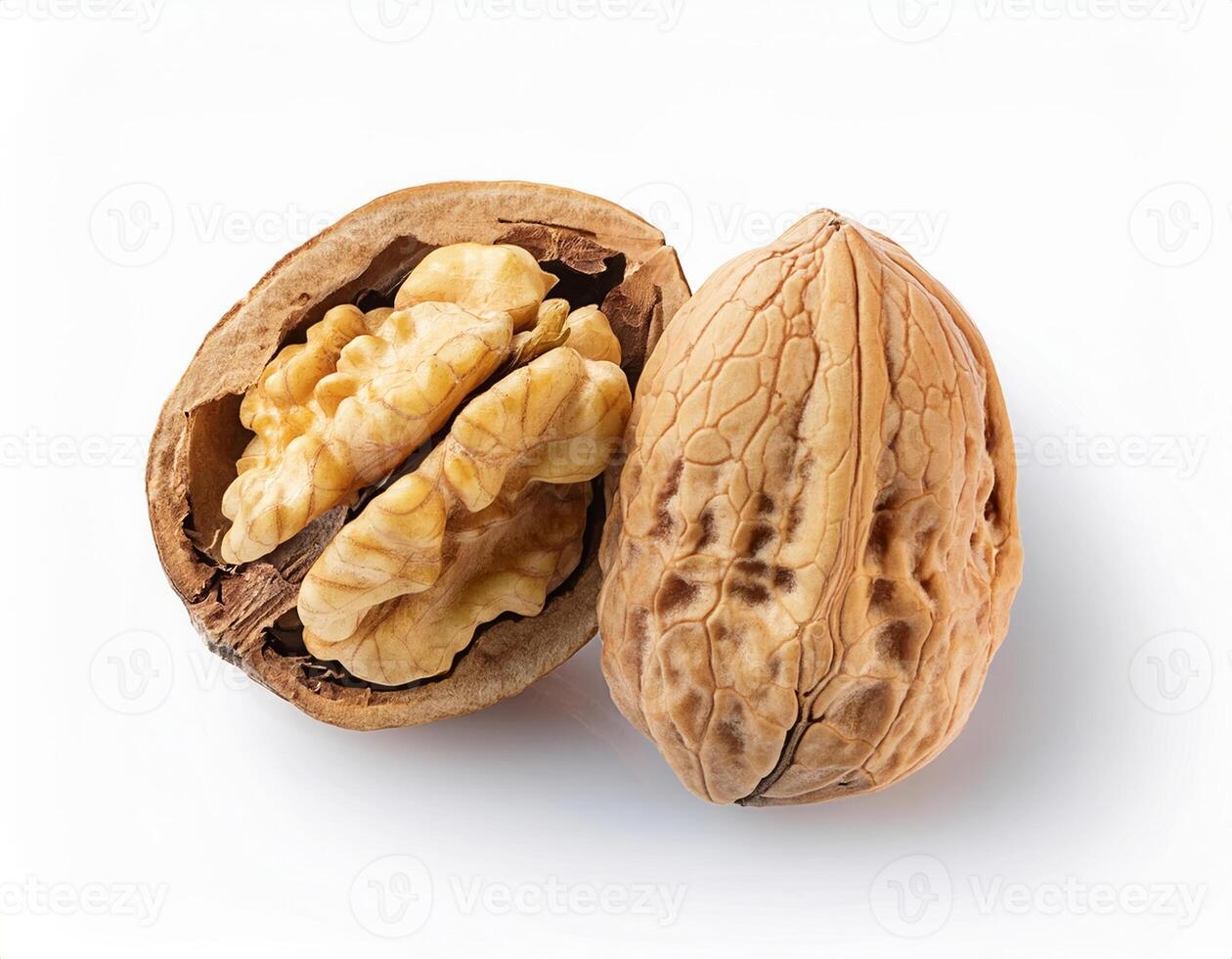 Two Walnuts One Shelled Showing the Kernel and One Whole Nut Isolated on White Background photo