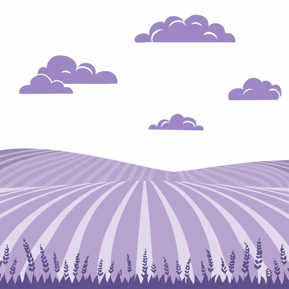 Drifting Clouds Over Lavender Fields vector