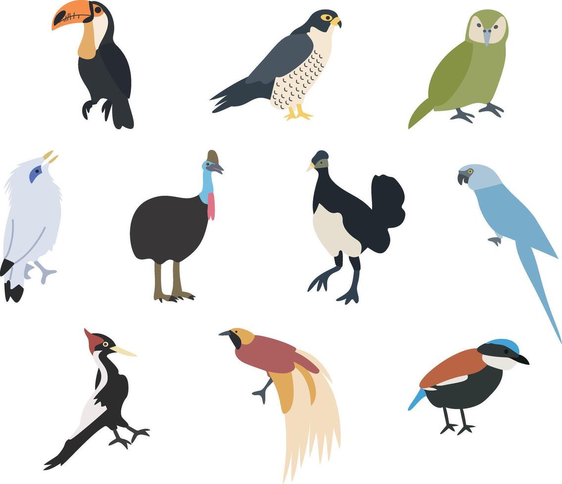 A collection of illustrations showcasing various endangered bird species, for conservation awareness, educational materials, environmental campaigns, and wildlife themed designs. vector