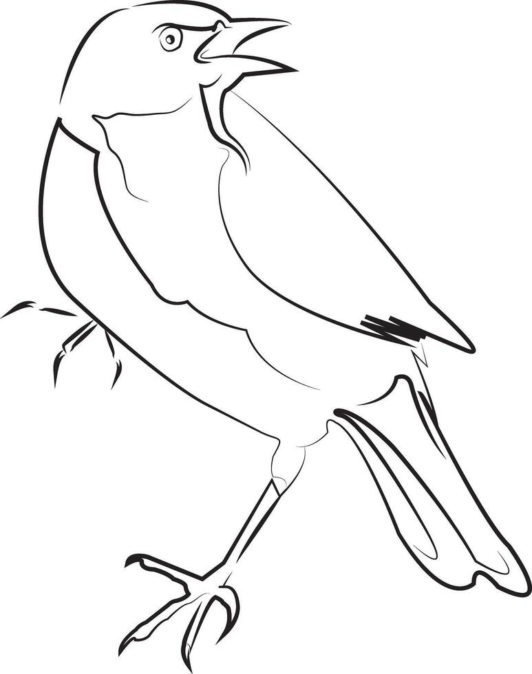 busty blackbird line art illustration vector