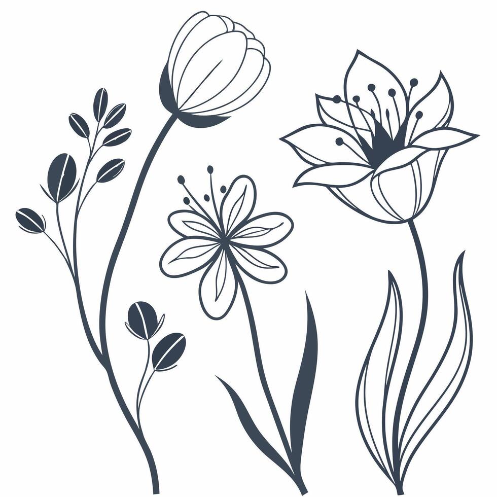 clean and elegant illustration featuring a collection of stylized floral elements rendered in a minimalist line art style vector