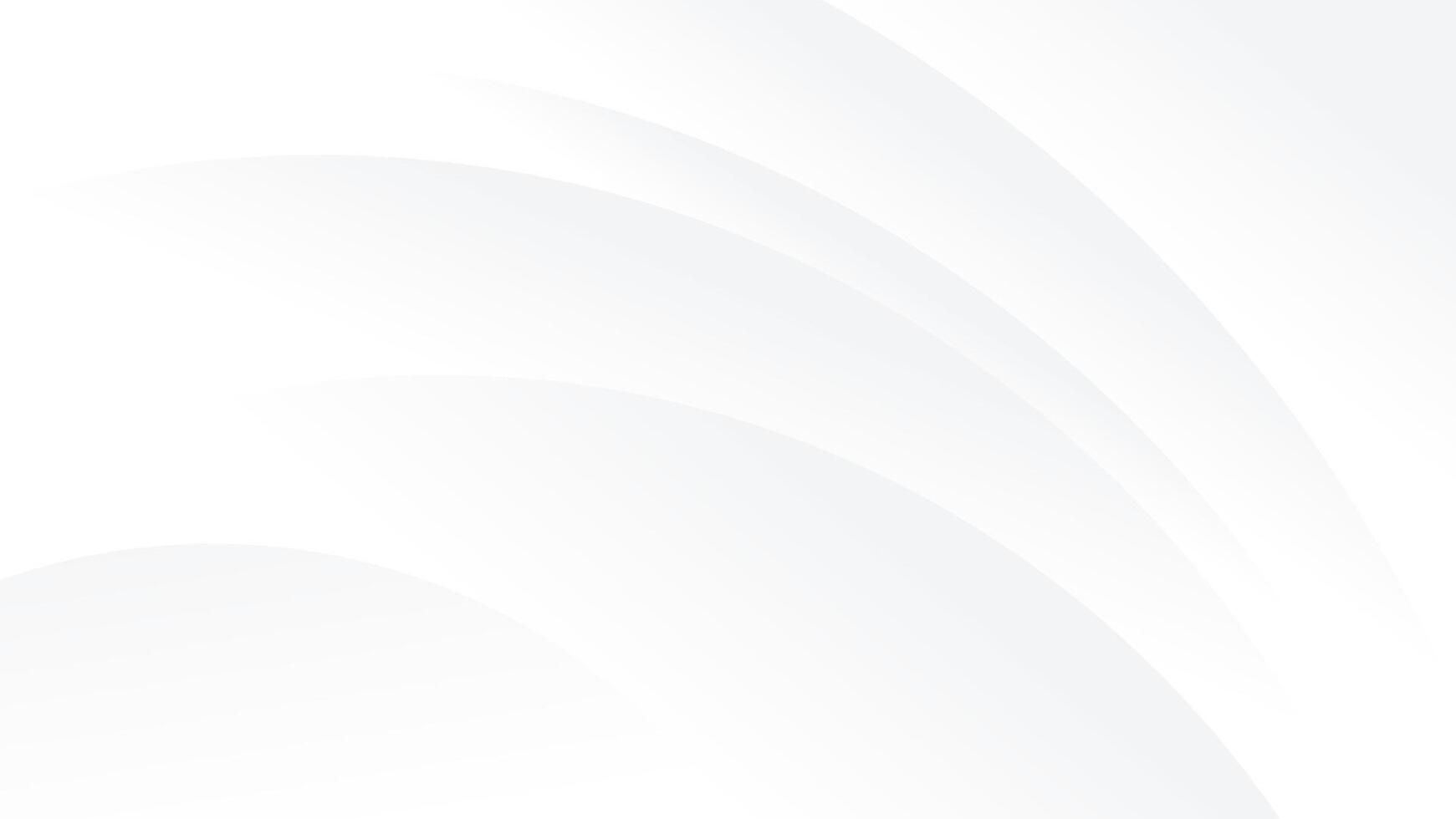 abstract white luxury background with graphic curve lines vector