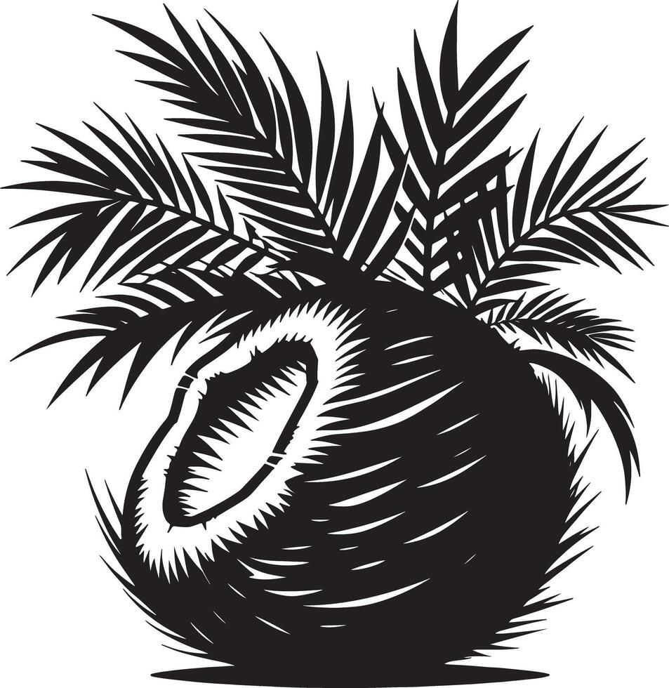 Black and white graphic illustration of a coconut with palm fronds in a stylized design vector