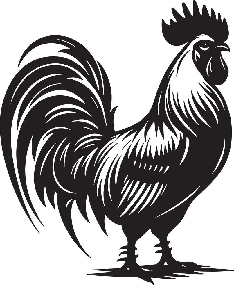 A detailed black and white silhouette illustration of a rooster standing sideways profile view vector