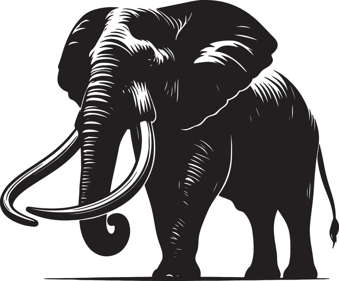 A stylized black and white illustration of a majestic elephant with prominent tusks and large ears vector