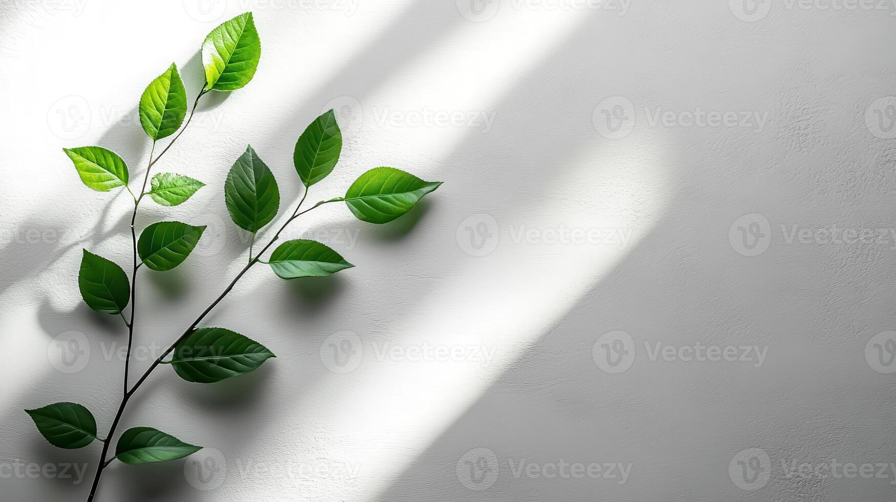 Glossy green branch with intricate veins casting dynamic shadows on a light wall, showcasing natural textures and vibrant, artistic design. photo