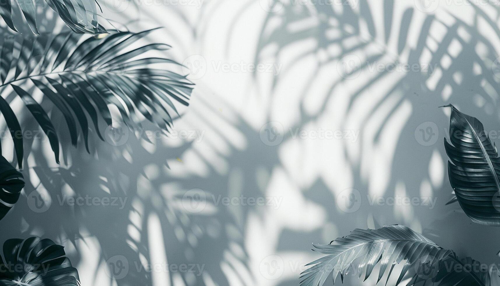 Tropical leaves and shadows create a soothing dance of light and nature on a minimalist white wall photo