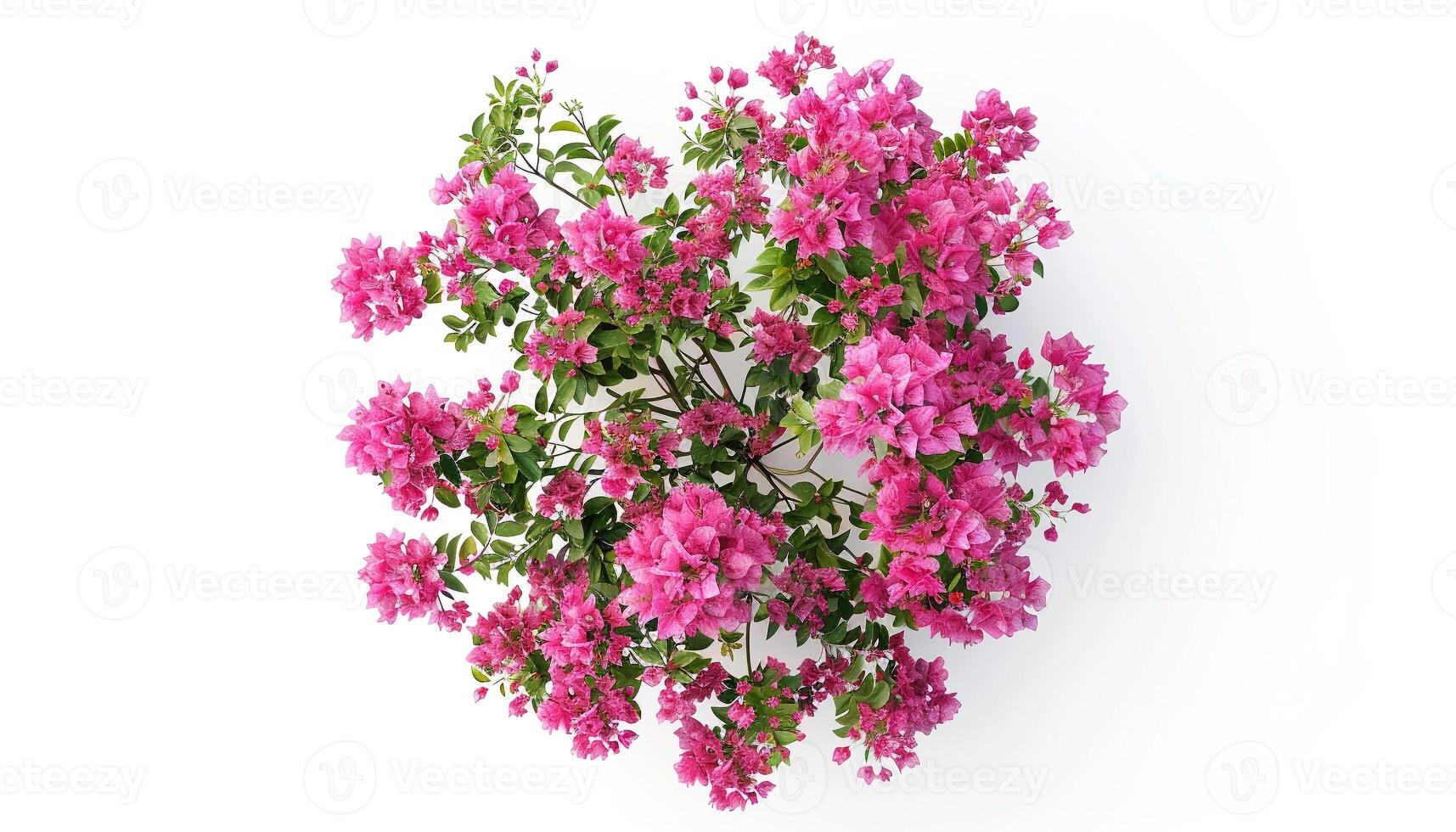 Top view of radiant pink blossoms, a floral celebration of color, joy, and the rhythm of nature. photo