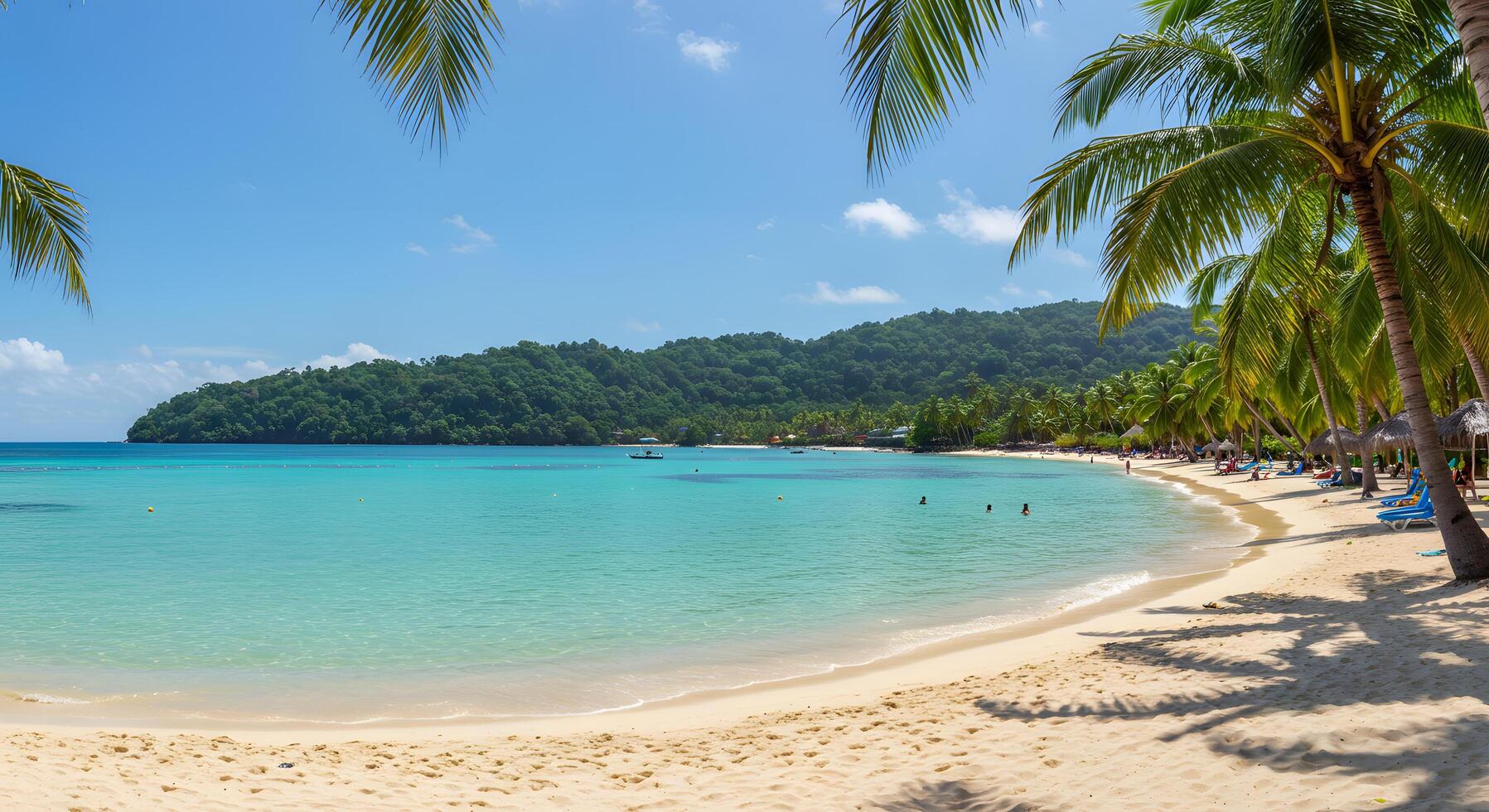 A sandy beach with palm trees photo
