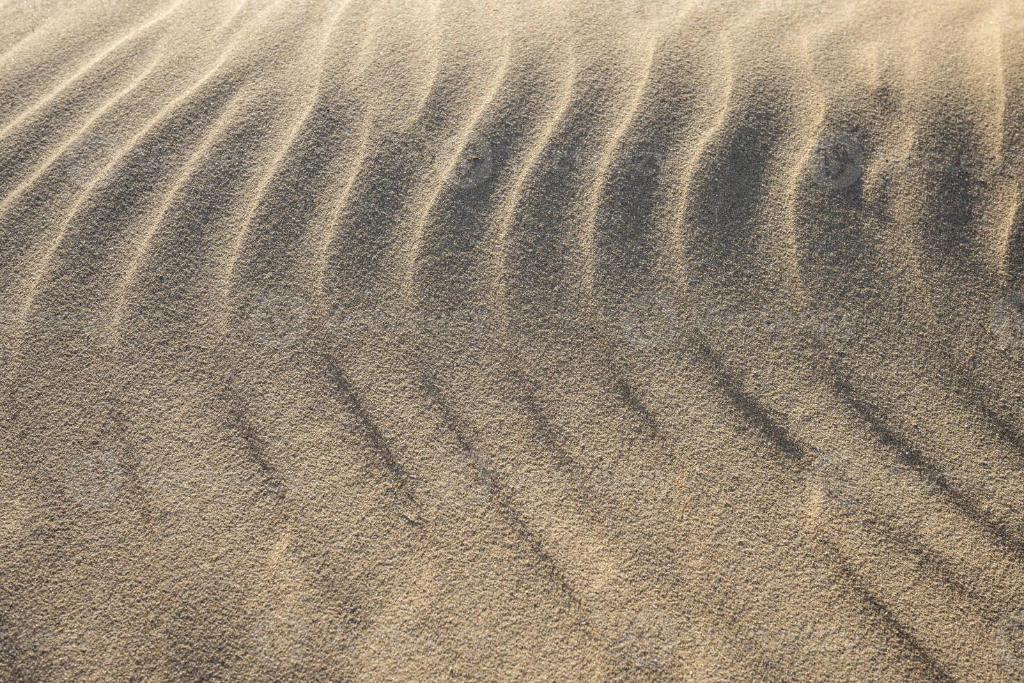Golden sand ripples form a warm, natural abstract pattern, ideal as a textured background for creative projects and designs. photo