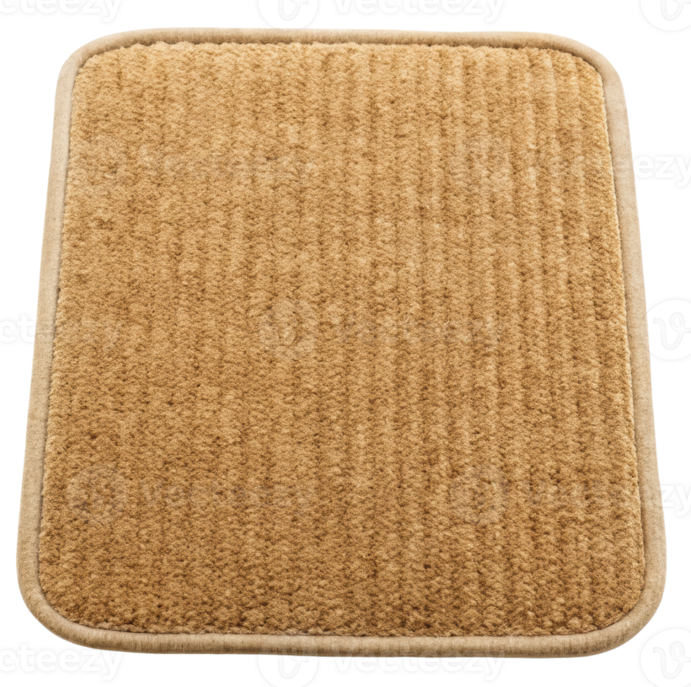 Rectangular area rug showcasing soft texture and coordinated border design png