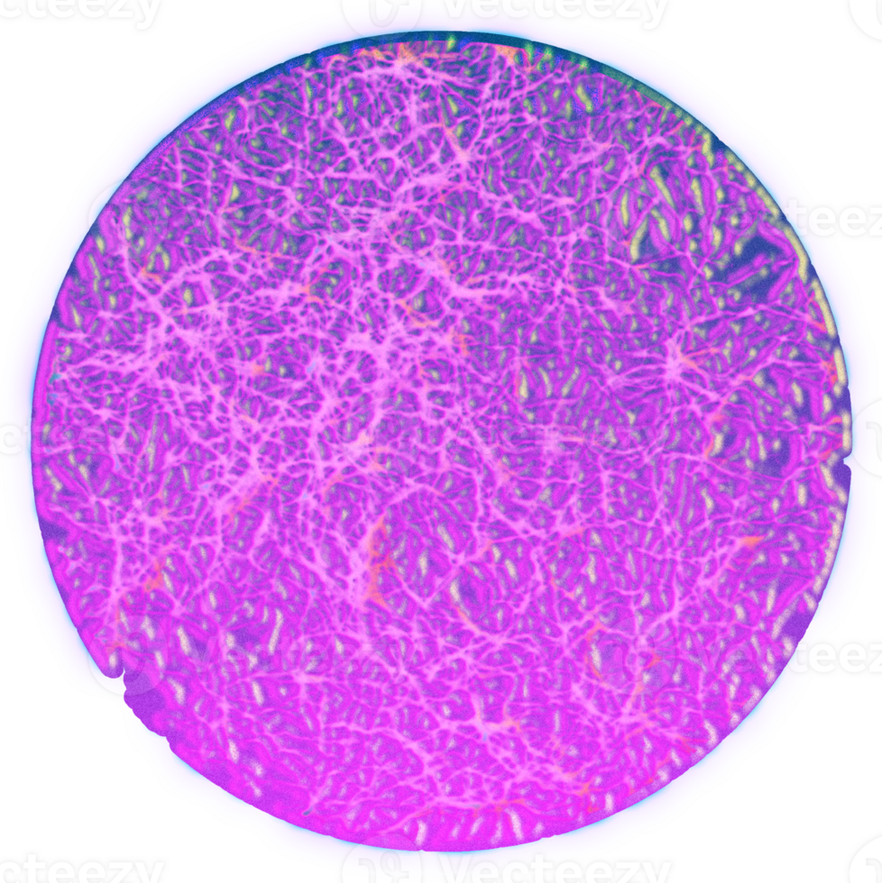 A circular image of a purple and pink object png