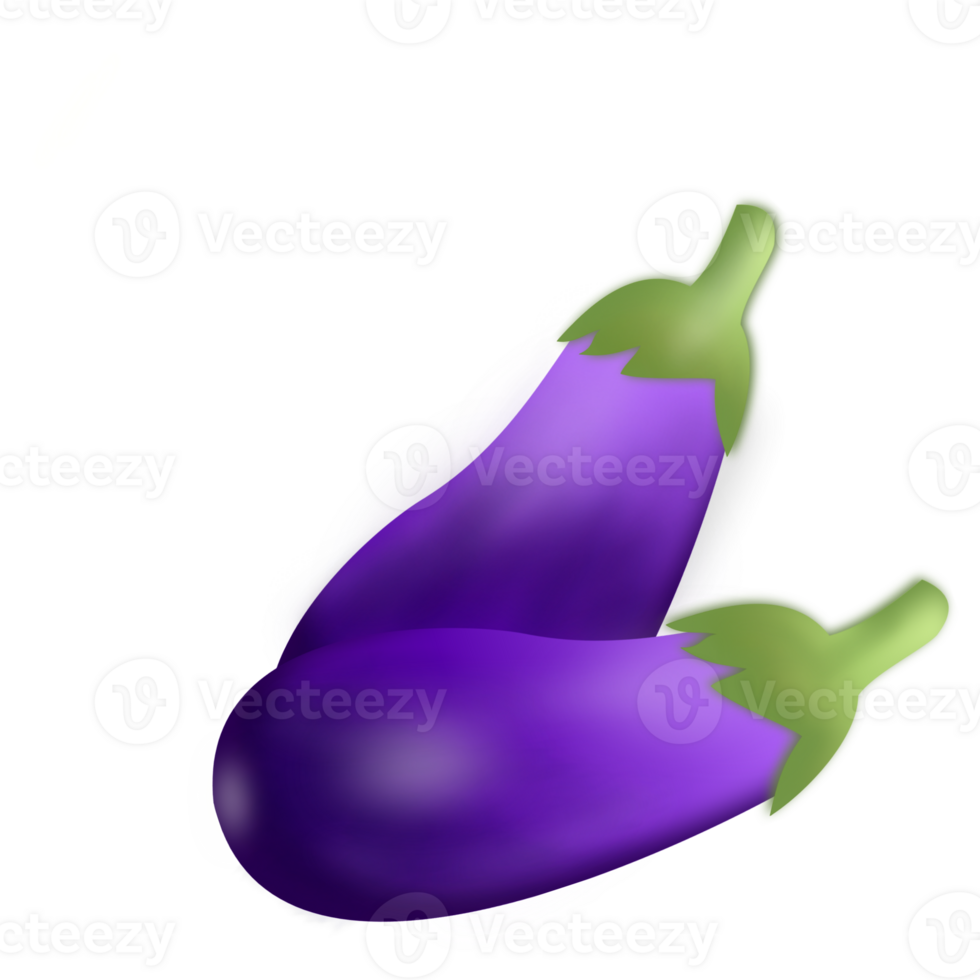 purple eggplant illustration png