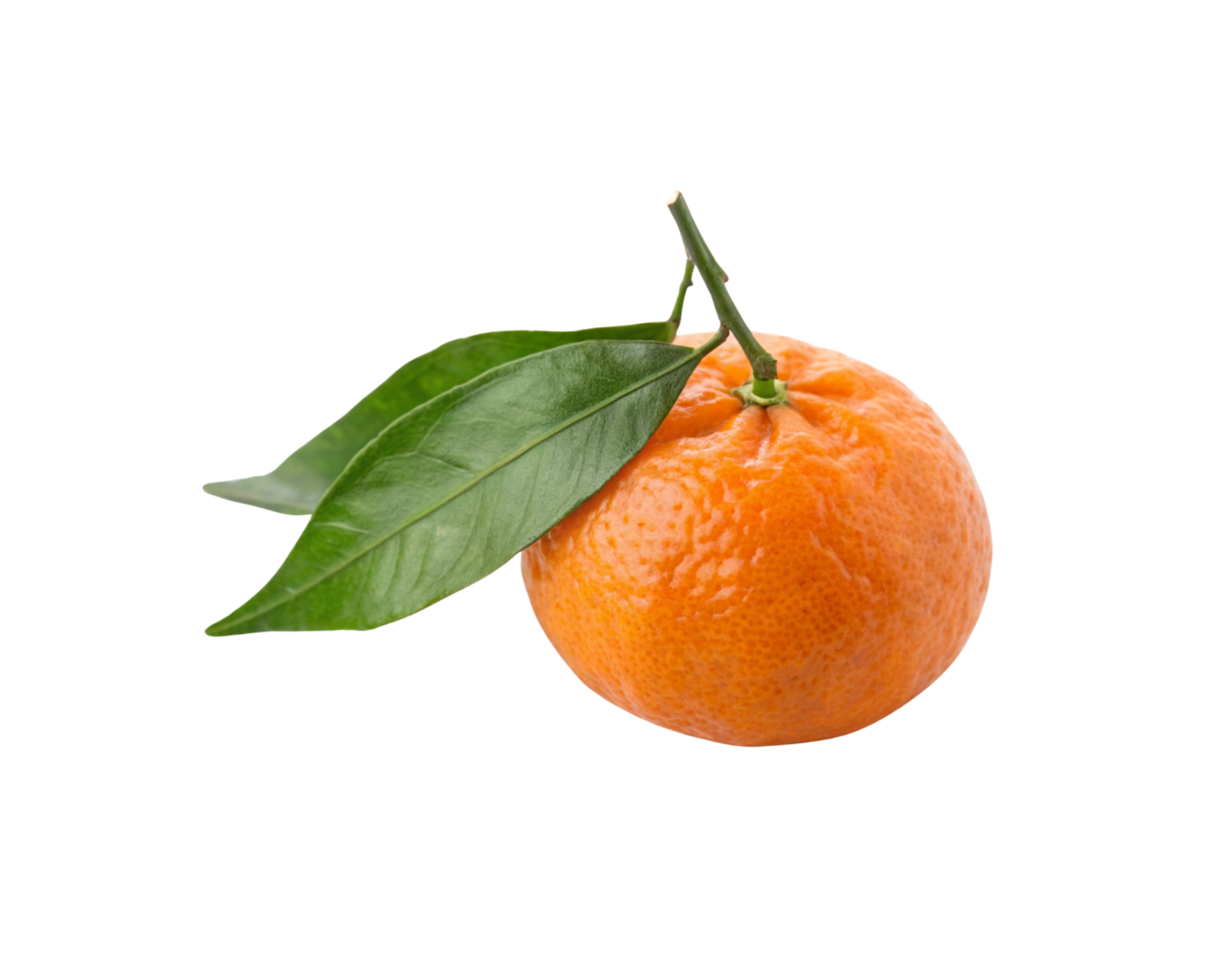 An orange with a leaf on it png