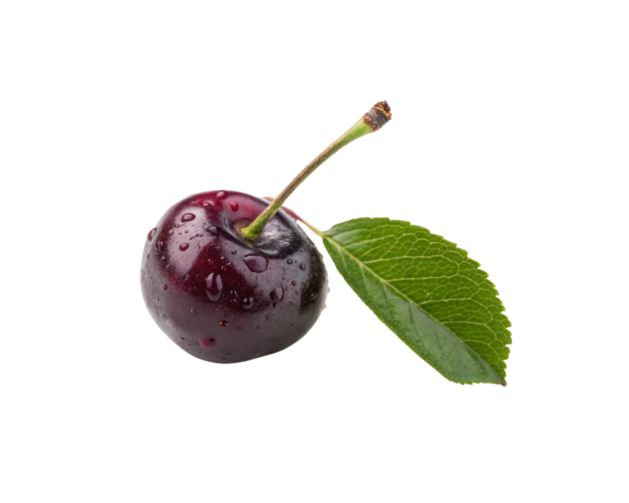A single cherry with a leaf on it png