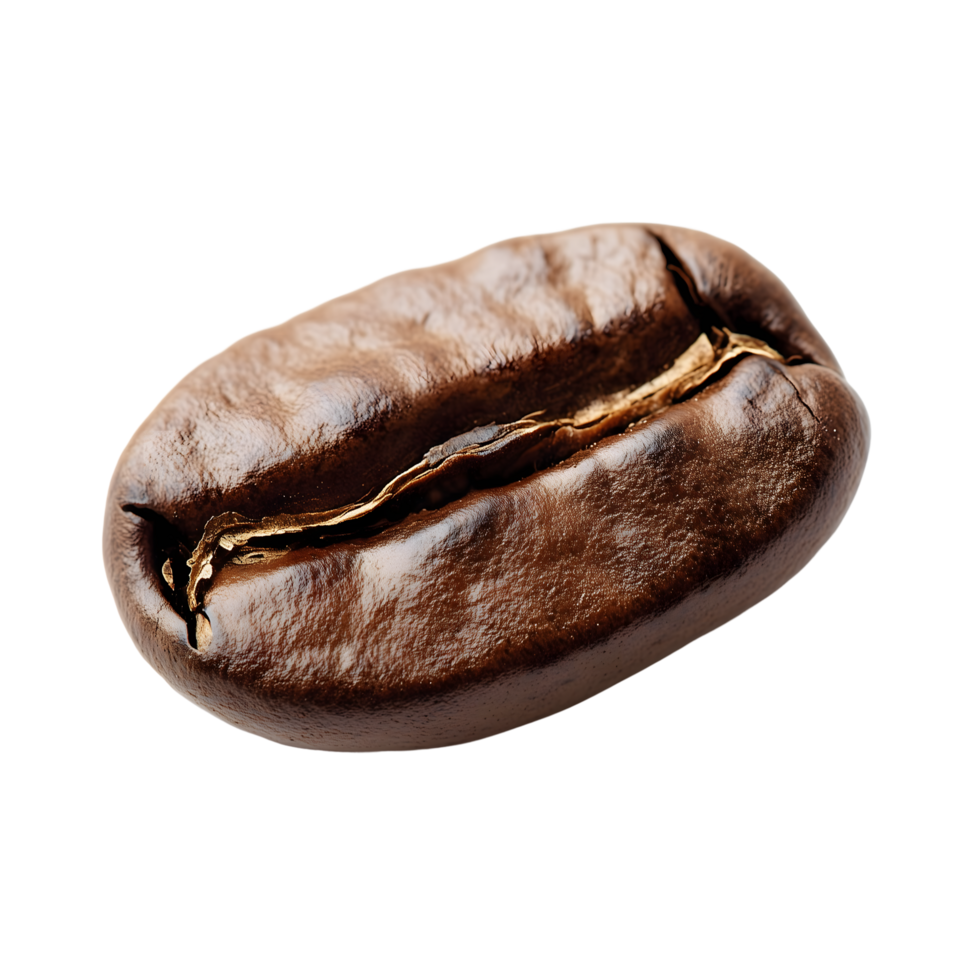 Macro of a Coffee Bean with Brown Texture on a Transparent Background png