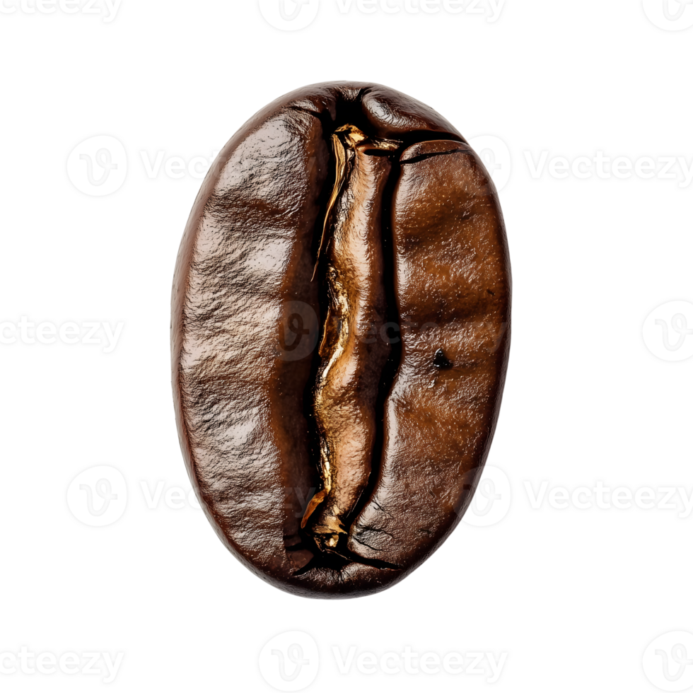 Roasted Coffee Bean Isolated On Transparent Background Detailed Close Up png