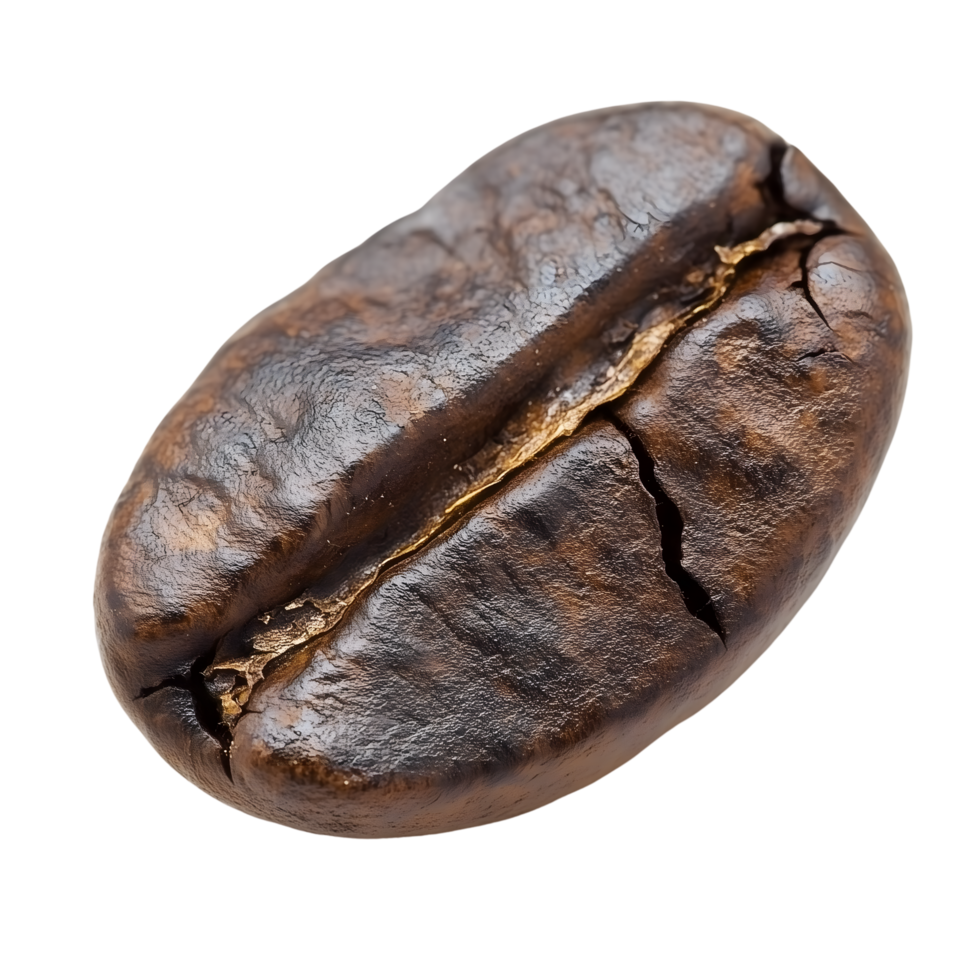 Close Up Of Roasted Coffee Bean Isolated on Transparent Background Texture Detail png